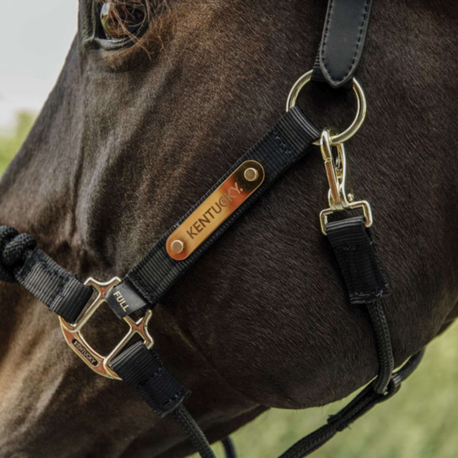 Kentucky Control Halter Nylon Black