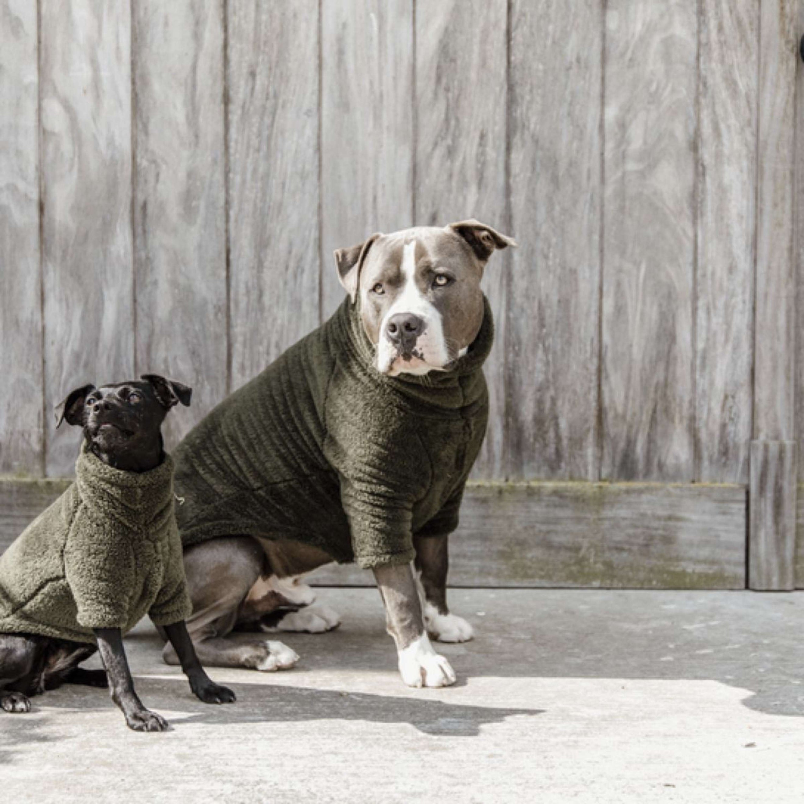 Kentucky Dog Sweater Teddy Fleece Pine Green