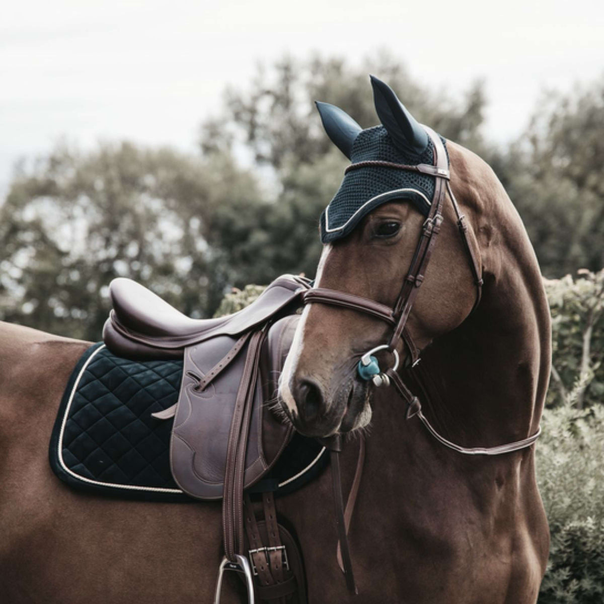 Kentucky Dressage Saddle Pad Corduroy Pine Green