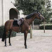 Kentucky Dressage Saddle Pad Corduroy Black