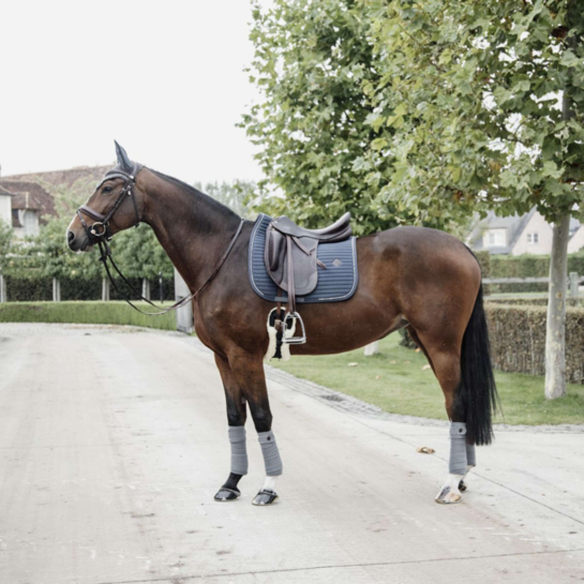 Kentucky Dressage Saddle Pad Pearls Grey