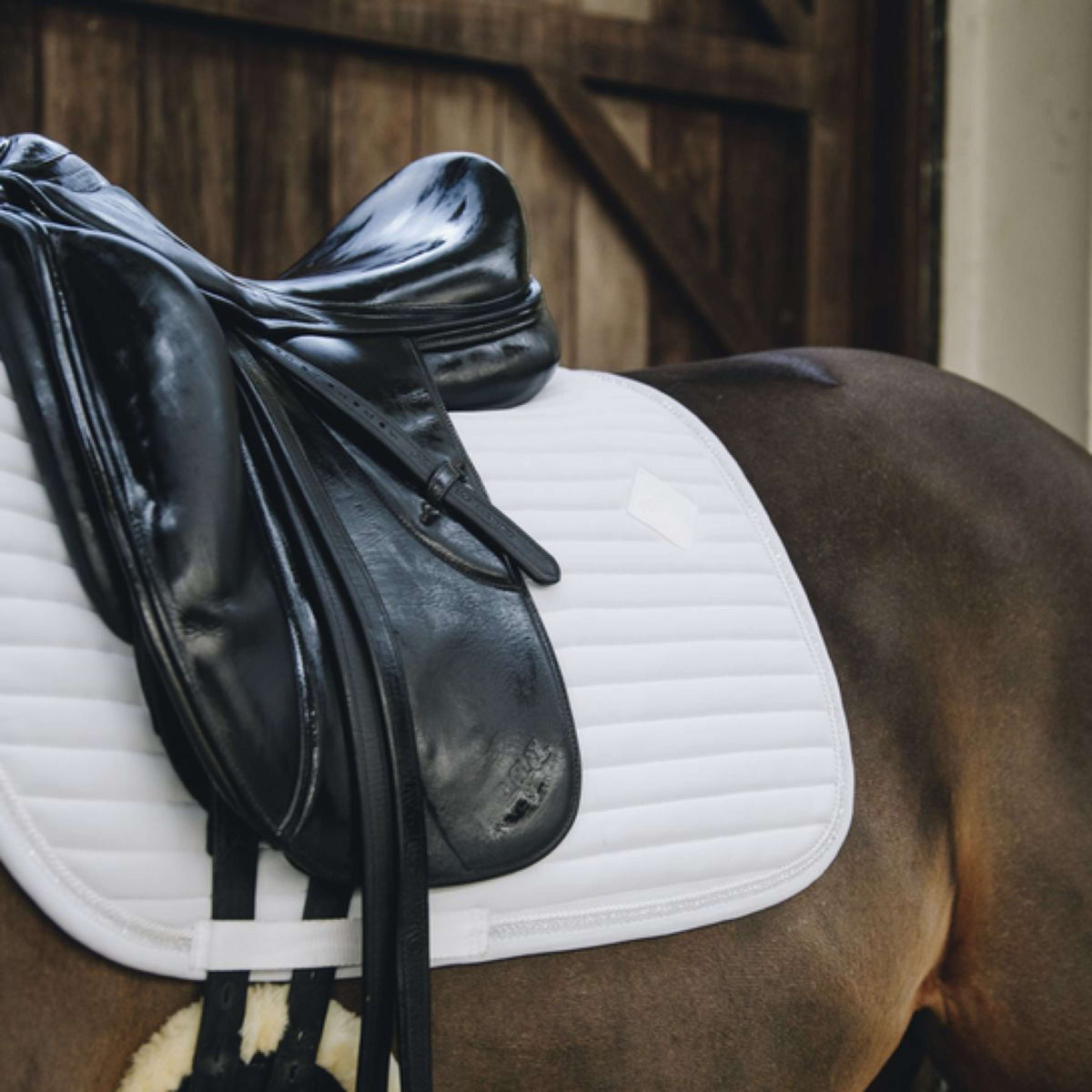 Kentucky Dressage Saddle Pad Pearls White