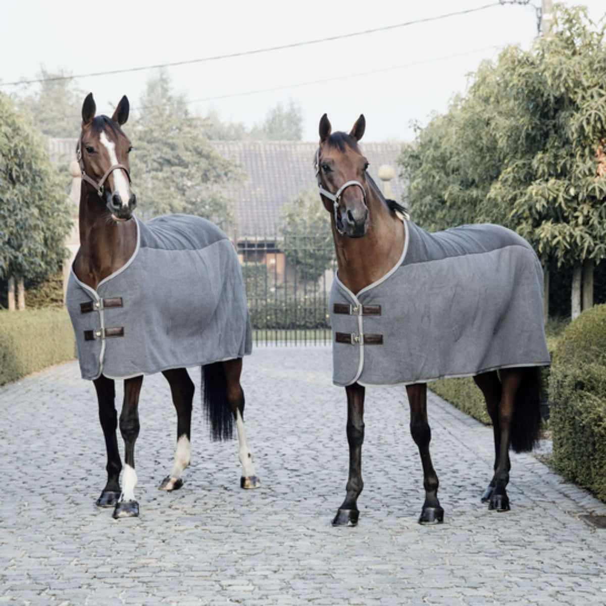 Kentucky Fleece Rug Heavy Grey