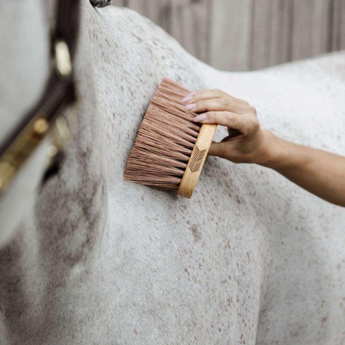 Grooming Deluxe by Kentucky Brush Middle Brown