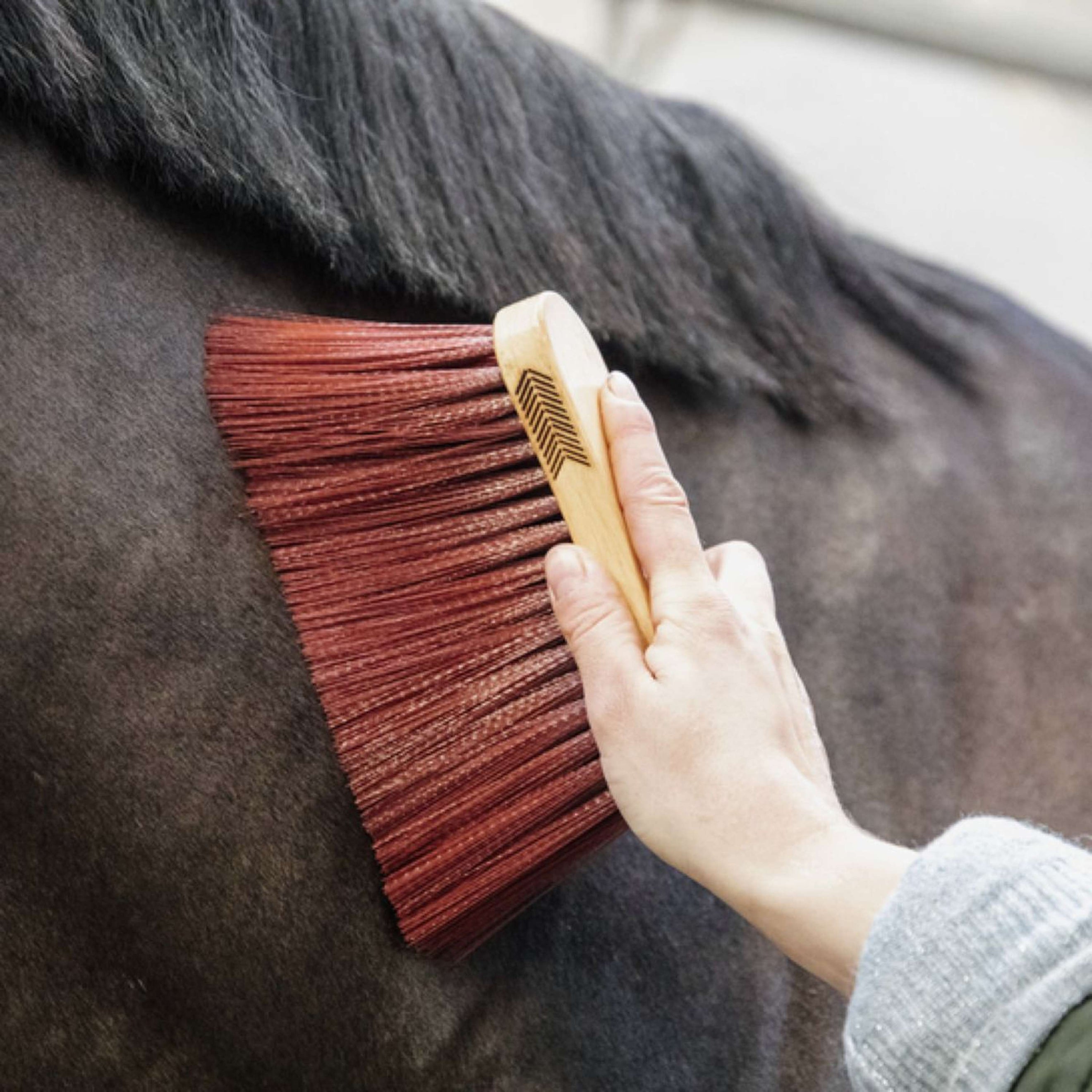 Grooming Deluxe by Kentucky Brush Middle Long Brown