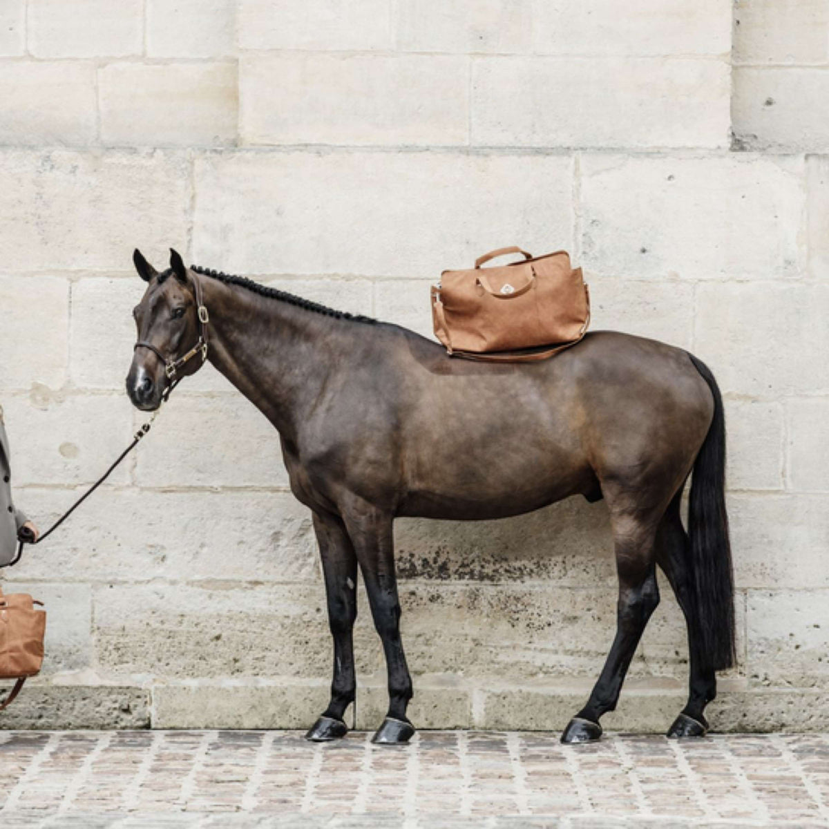 Grooming Deluxe by Kentucky Travel Bag Chestnut Brown