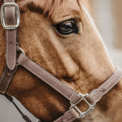 Kentucky Head Collar Anatomic Suede Brown