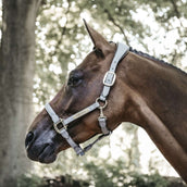 Kentucky Head Collar Anatomic Suede Grey