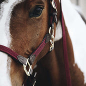 Kentucky Head Collar Plaited Nylon Bordeaux