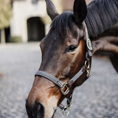 Kentucky Head Collar Plaited Nylon Grey