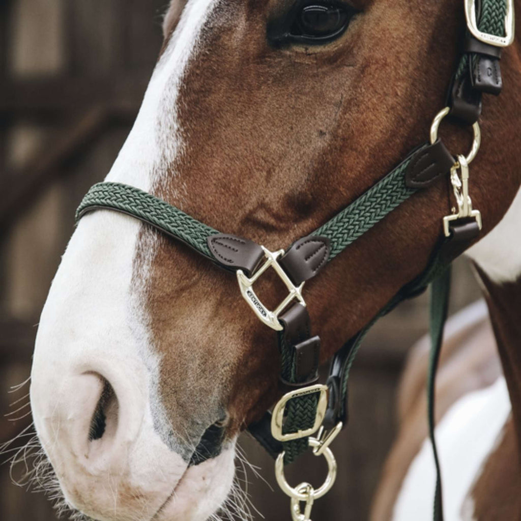 Kentucky Halter Plaited Nylon Olive Green