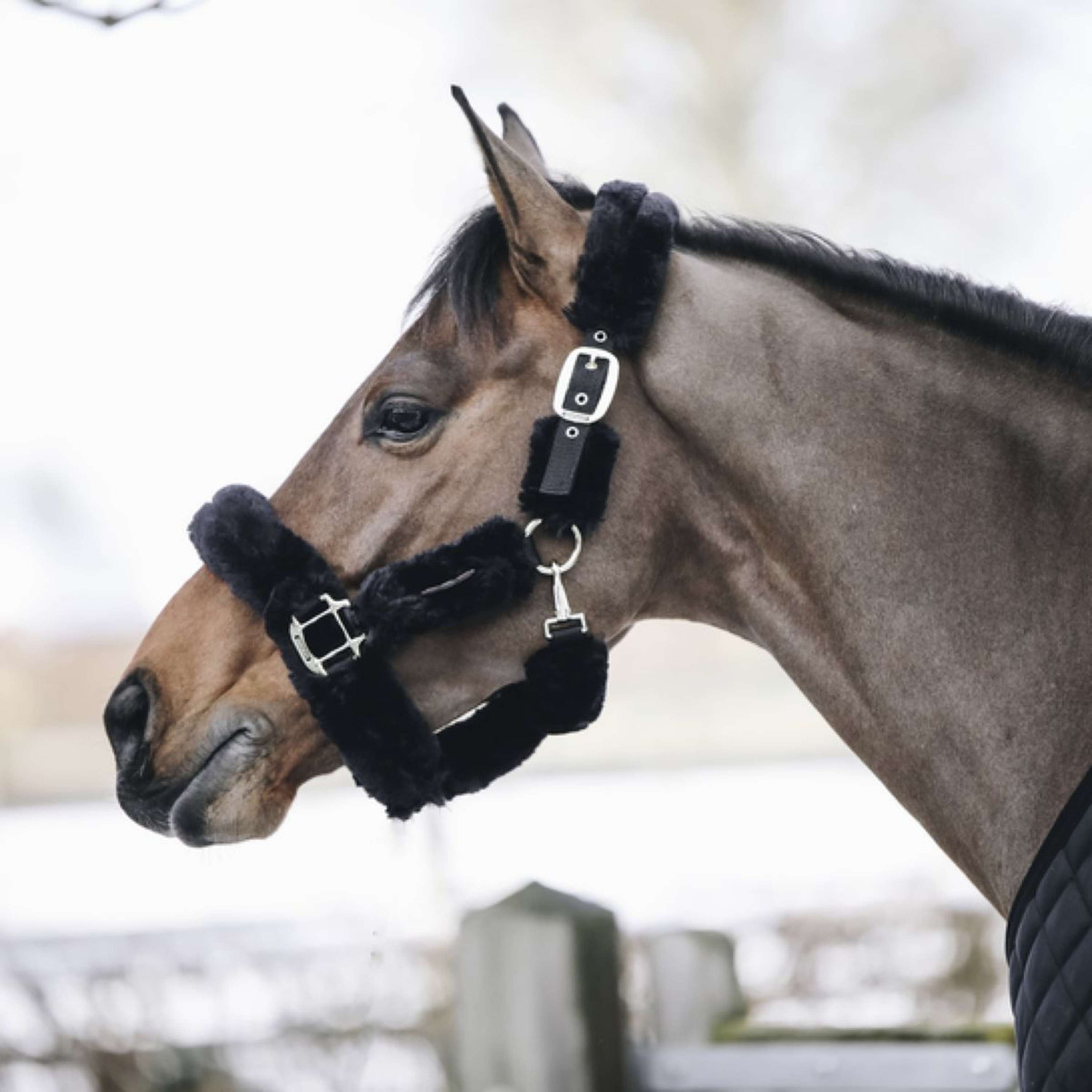 Kentucky Head Collar Sheepskin Black