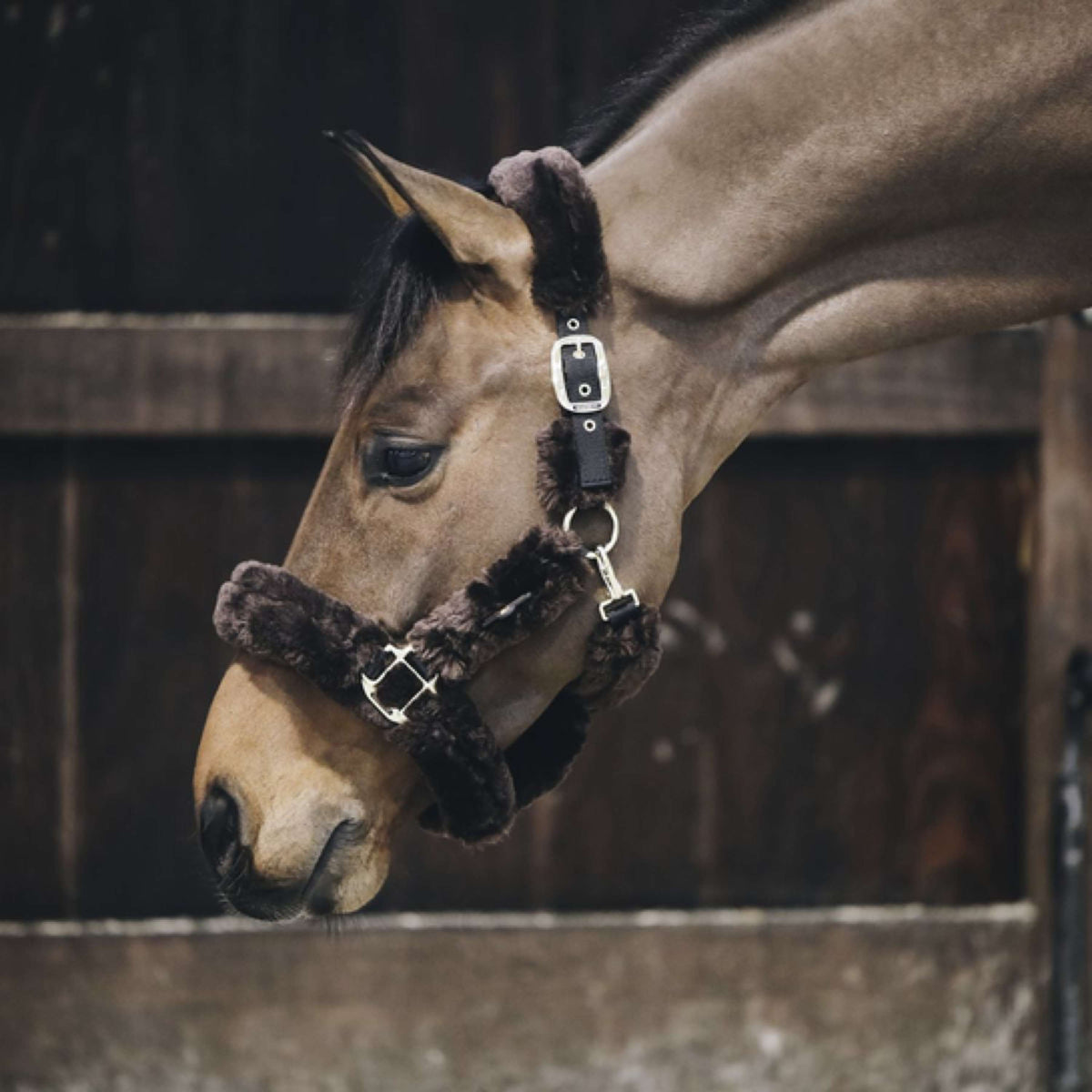 Kentucky Head Collar Sheepskin Brown