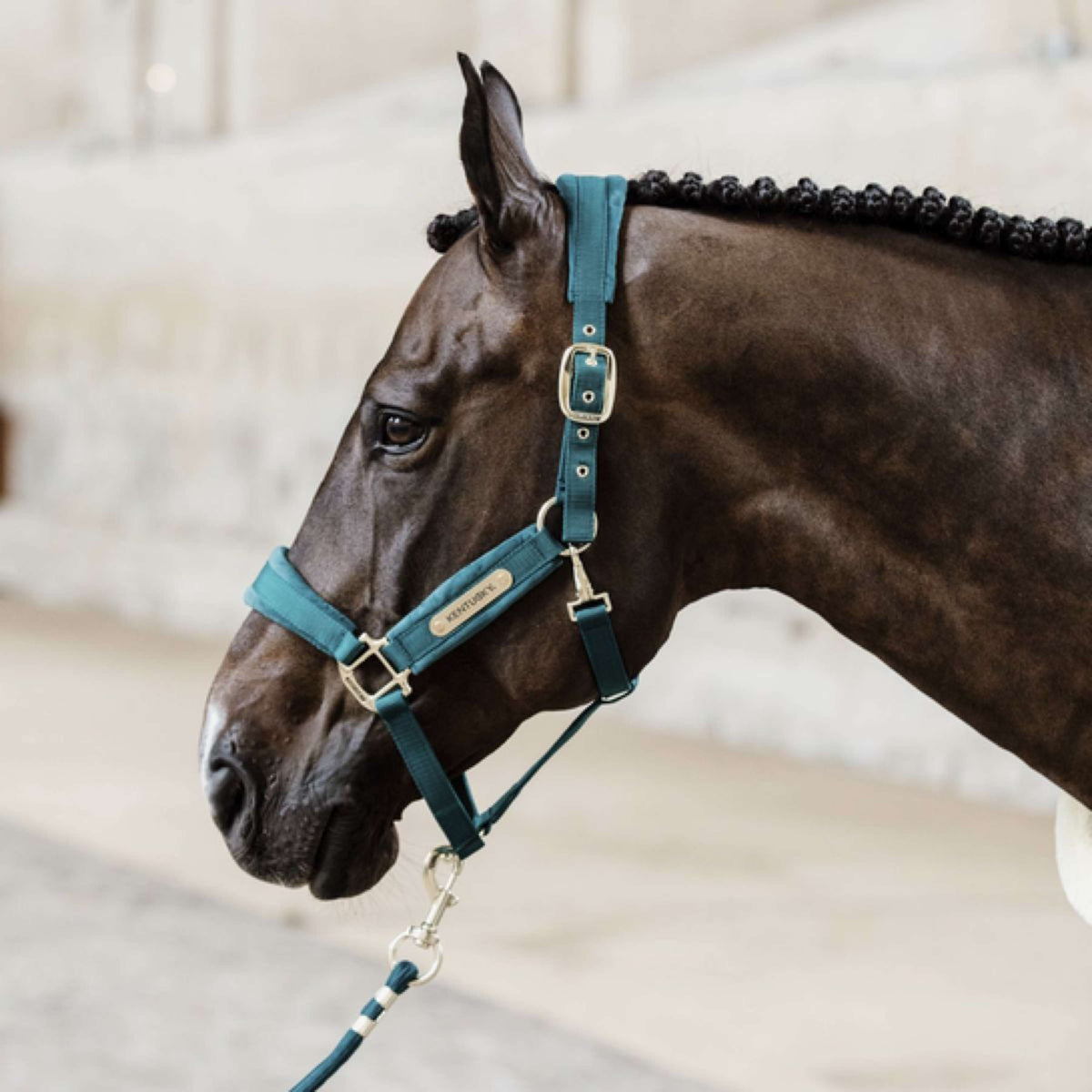 Kentucky Lead Rope Basic Emerald