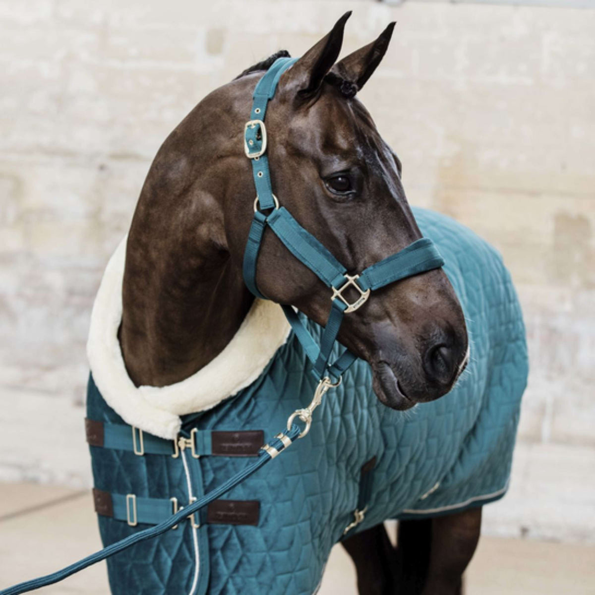 Kentucky Lead Rope Basic Emerald