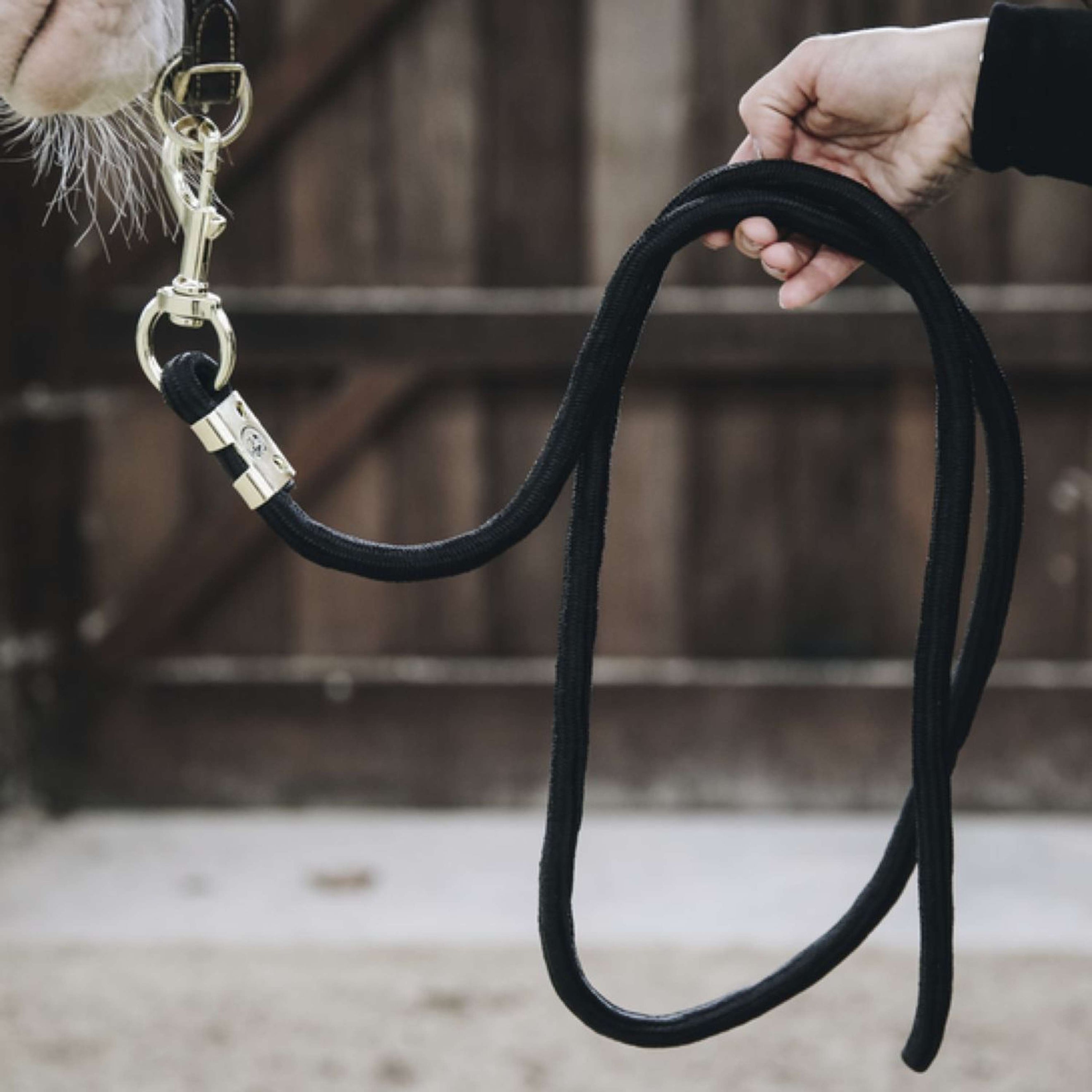 Kentucky Lead Rope Basic Black