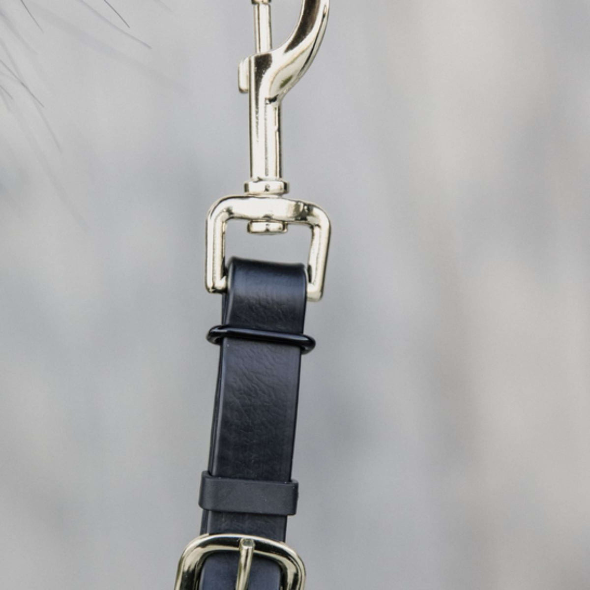 Kentucky Lead Rope Black