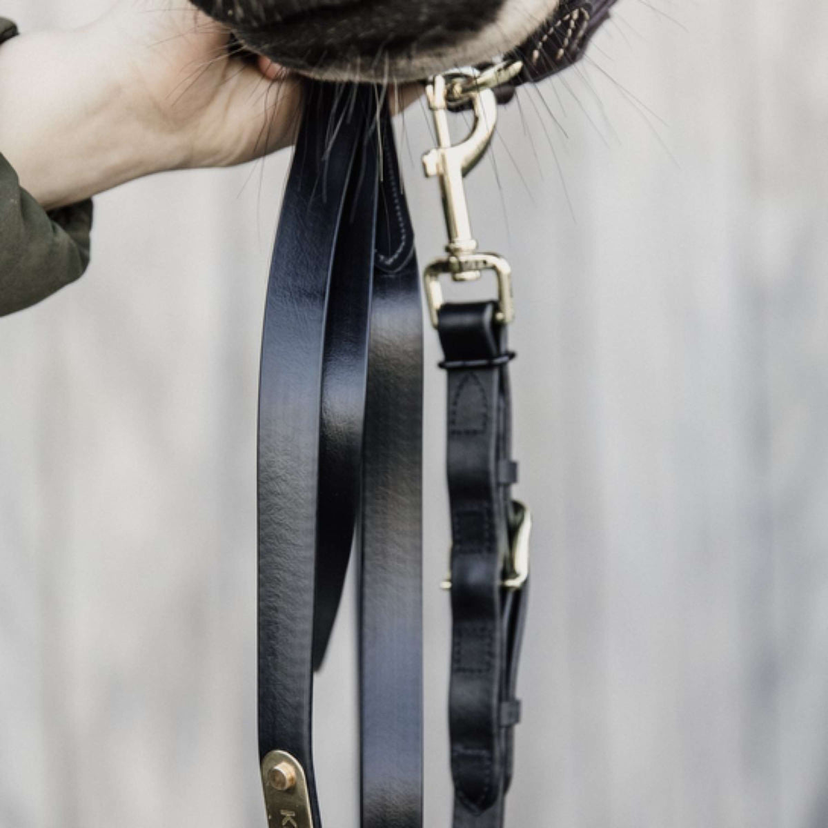 Kentucky Lead Rope Black