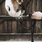 Kentucky Lead Rope Loop Brown