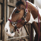 Kentucky Head Collar Plaited Nylon Bordeaux