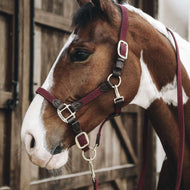 Kentucky Lead Rope Plaited Nylon Bordeaux