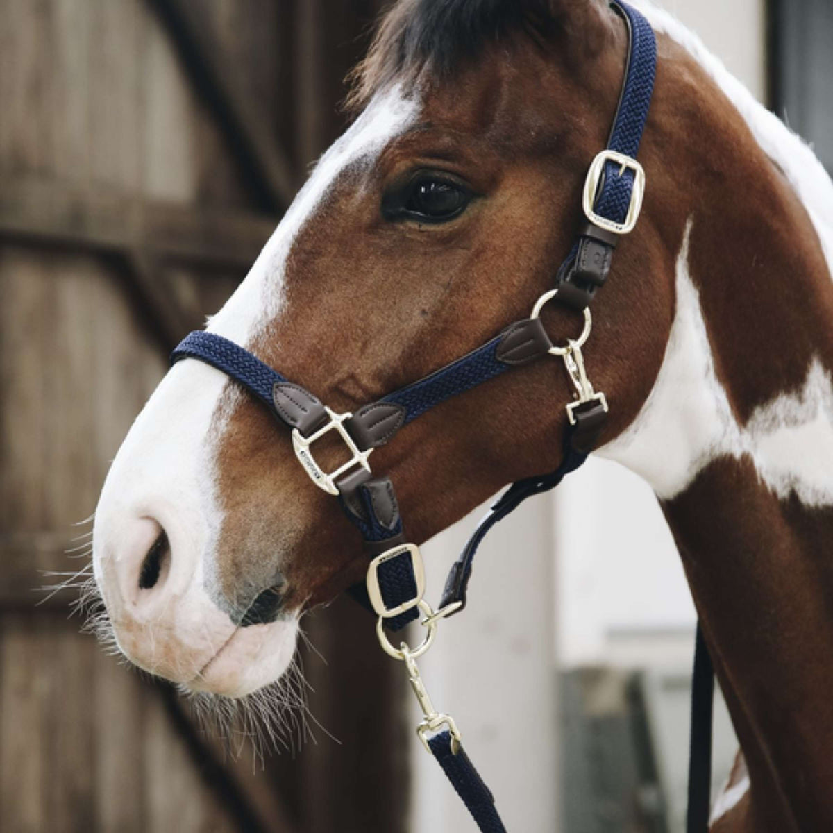 Kentucky Head Collar Plaited Nylon Navy