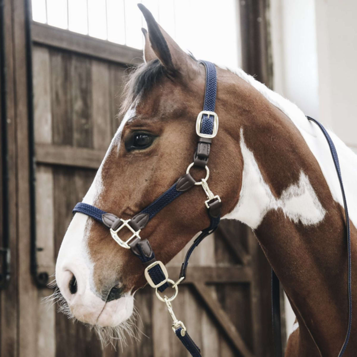 Kentucky Head Collar Plaited Nylon Navy