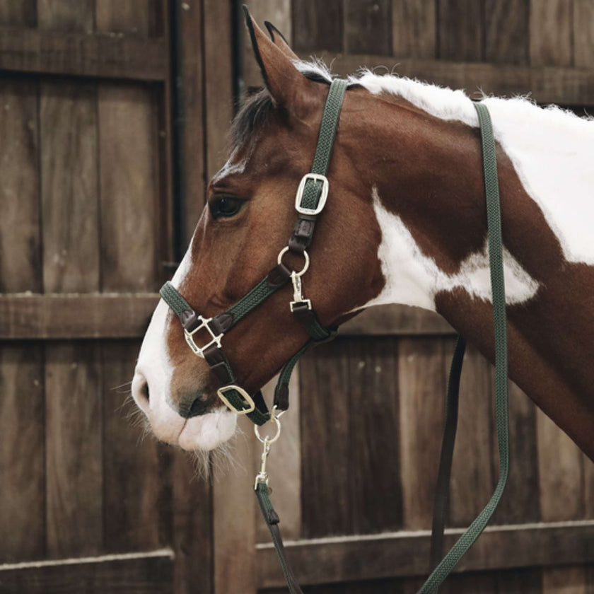 Kentucky Head Collar Plaited Nylon Olive Green