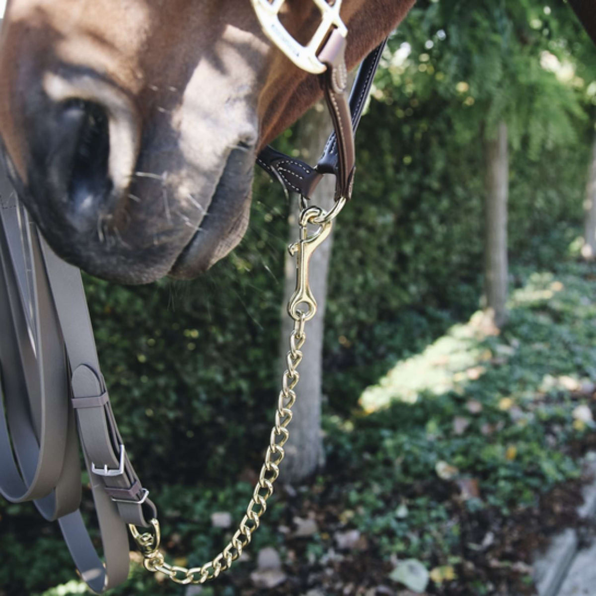 Kentucky Stallion Chain