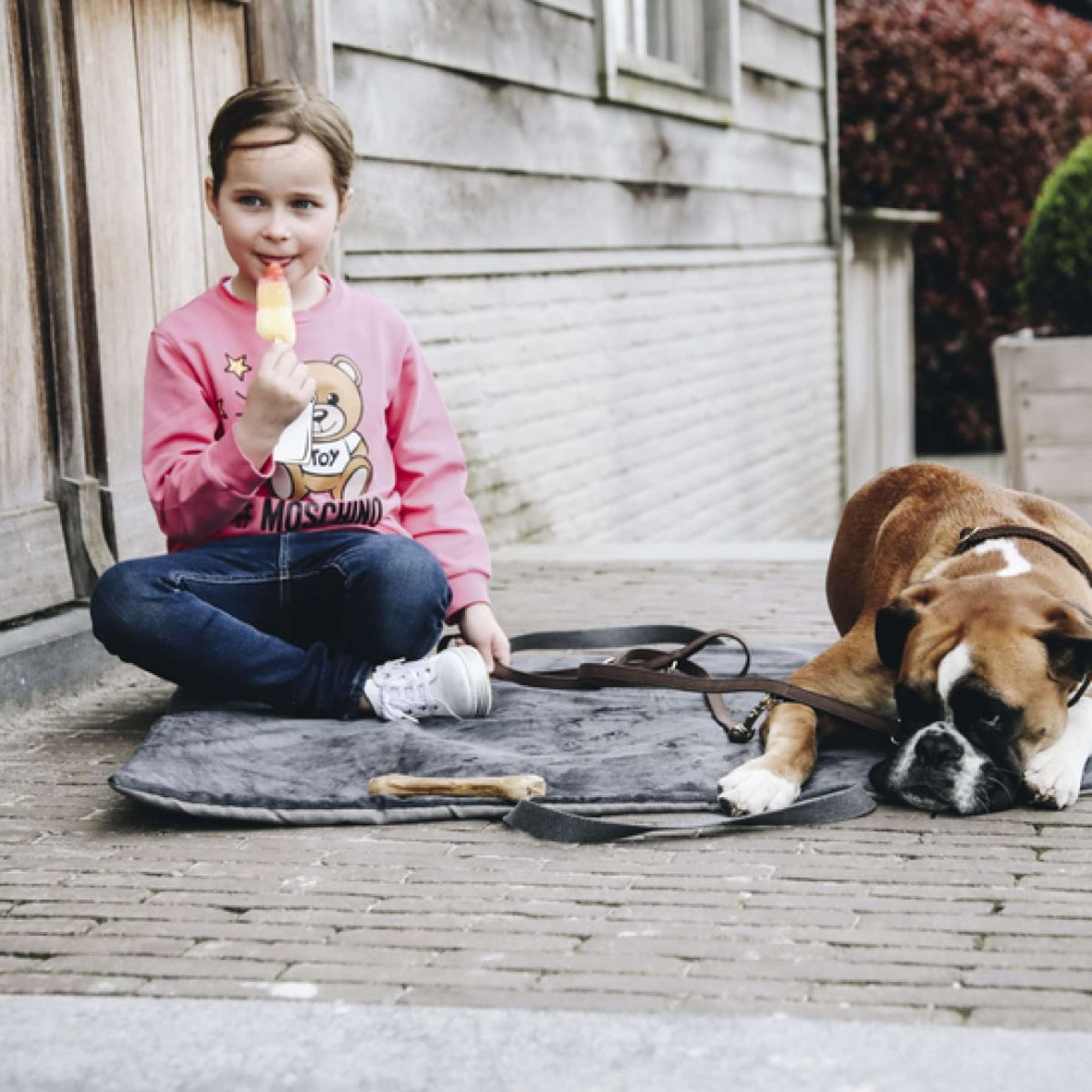 Kentucky Dog Bed Travel in Style