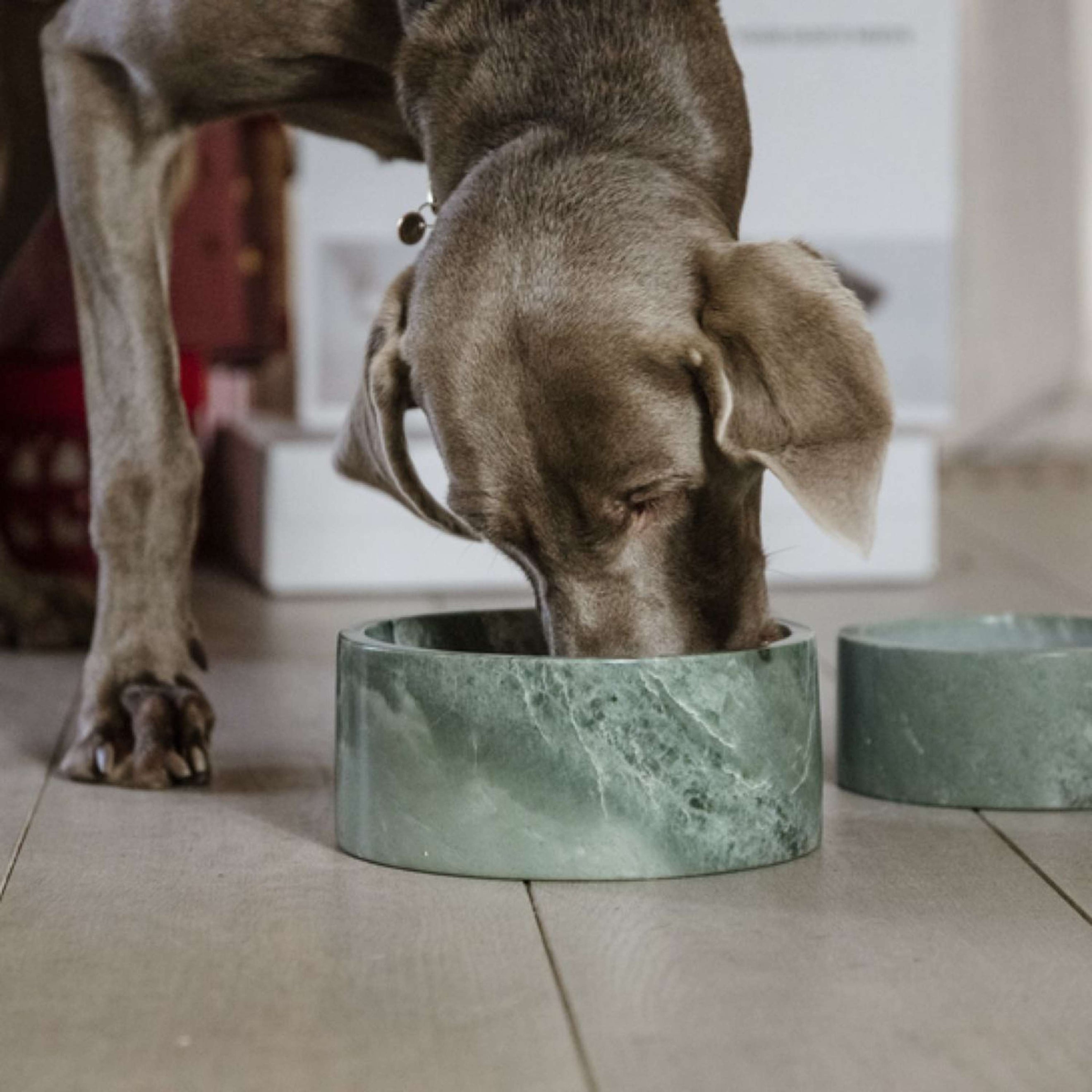 Kentucky Dog Bowl Marble Green