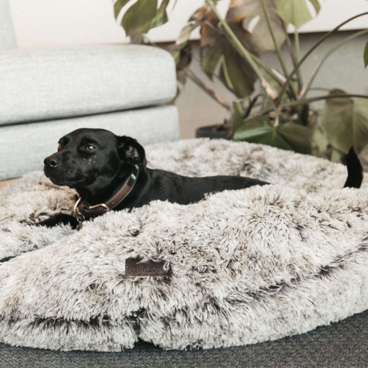 Kentucky Dog Bed Comfort Donut Brown