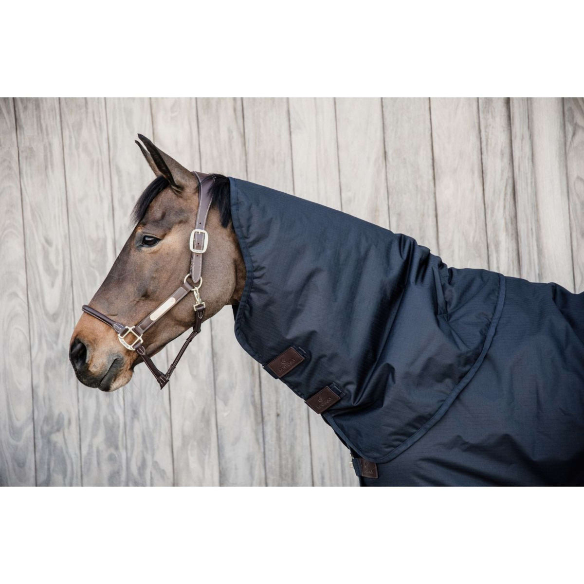 Kentucky Neck Cover All Weather Waterproof Classic 150gr Navy