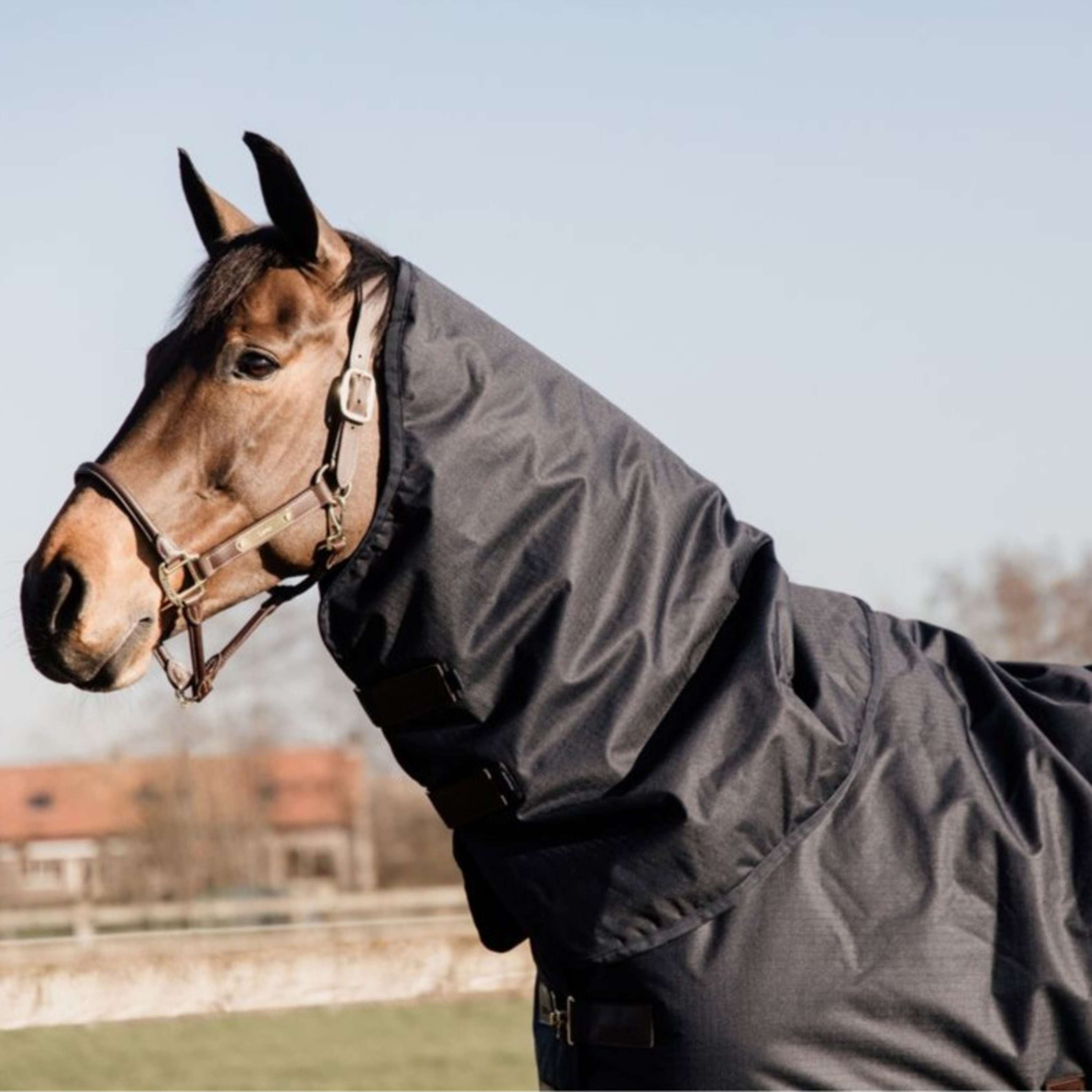 Kentucky Neck Cover All Weather Waterproof Classic 0g Navy
