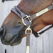 Kentucky Chain Leather Covered Brown