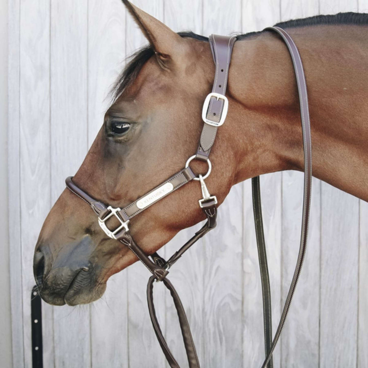 Kentucky Chain Leather Covered Brown