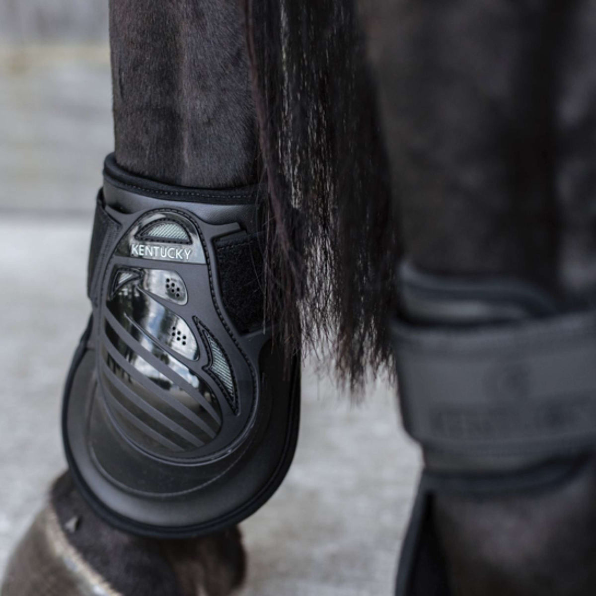 Kentucky Horsewear Fetlock Boots Deep Black