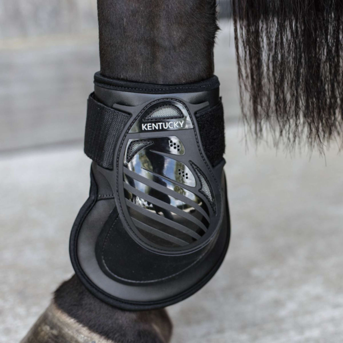 Kentucky Horsewear Fetlock Boots Deep Black