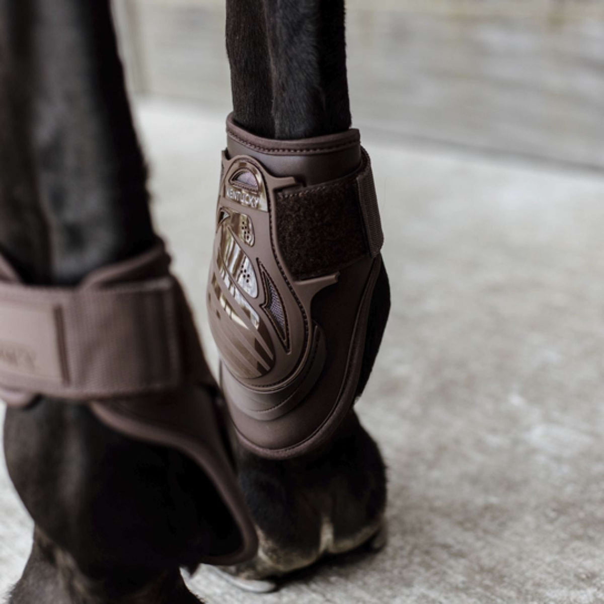 Kentucky Horsewear Fetlock Boots Deep Brown