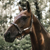 Kentucky Leather Halter Leather Flexible Brown