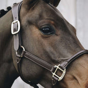 Kentucky Leather Halter Brown