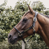 Kentucky Leather Halter Black