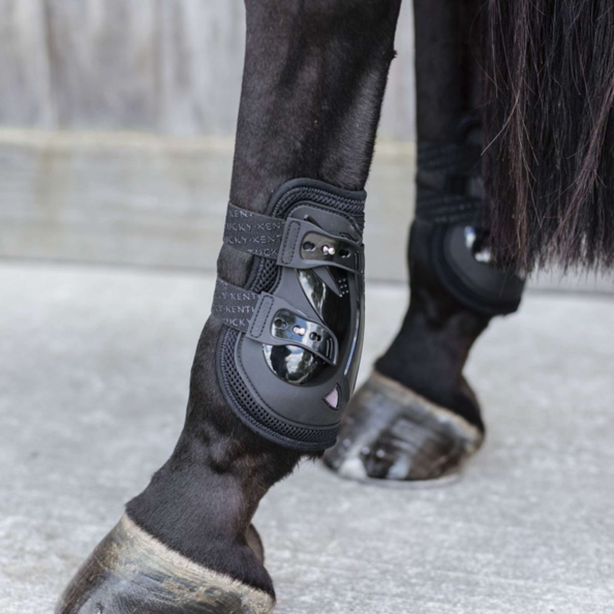 Kentucky Horsewear Bullet guards Moonboots Air X Black