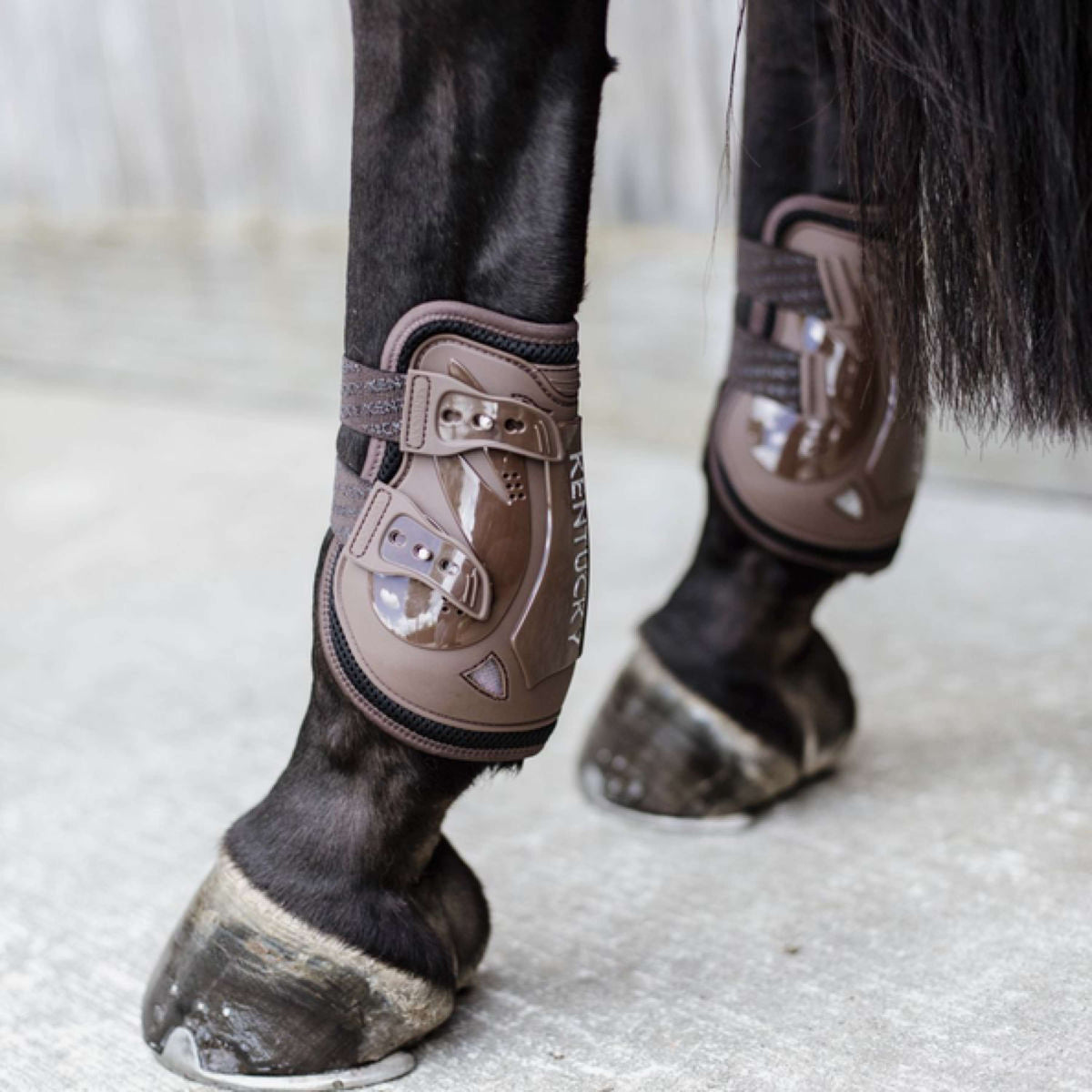 Kentucky Horsewear Bullet guards Moonboots X Air Brown