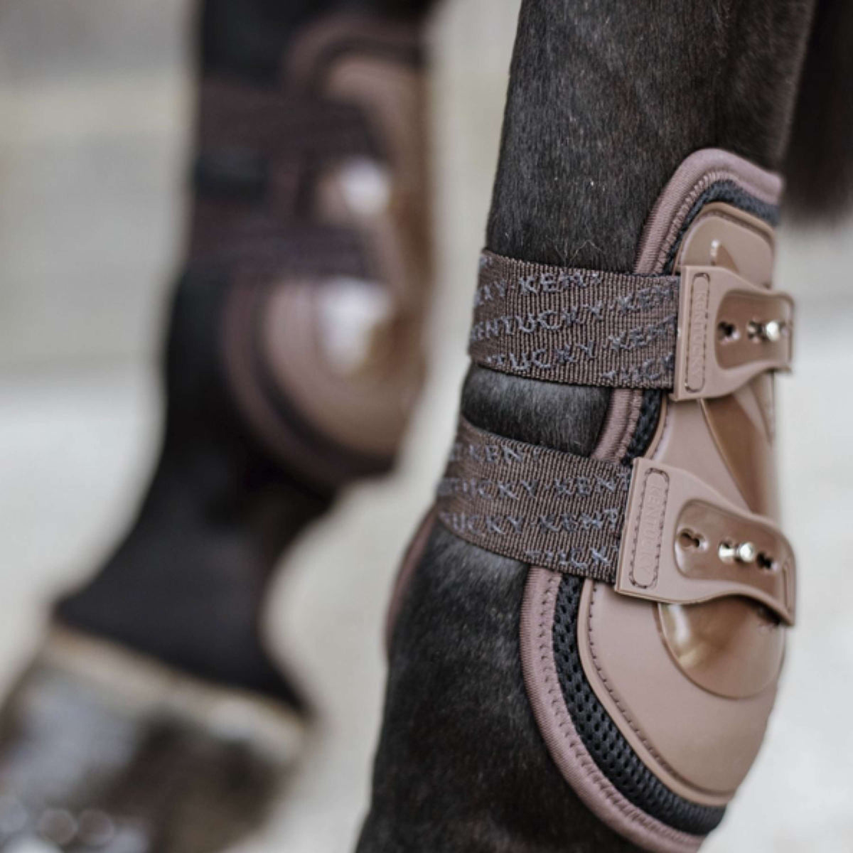 Kentucky Horsewear Bullet guards Moonboots X Air Brown