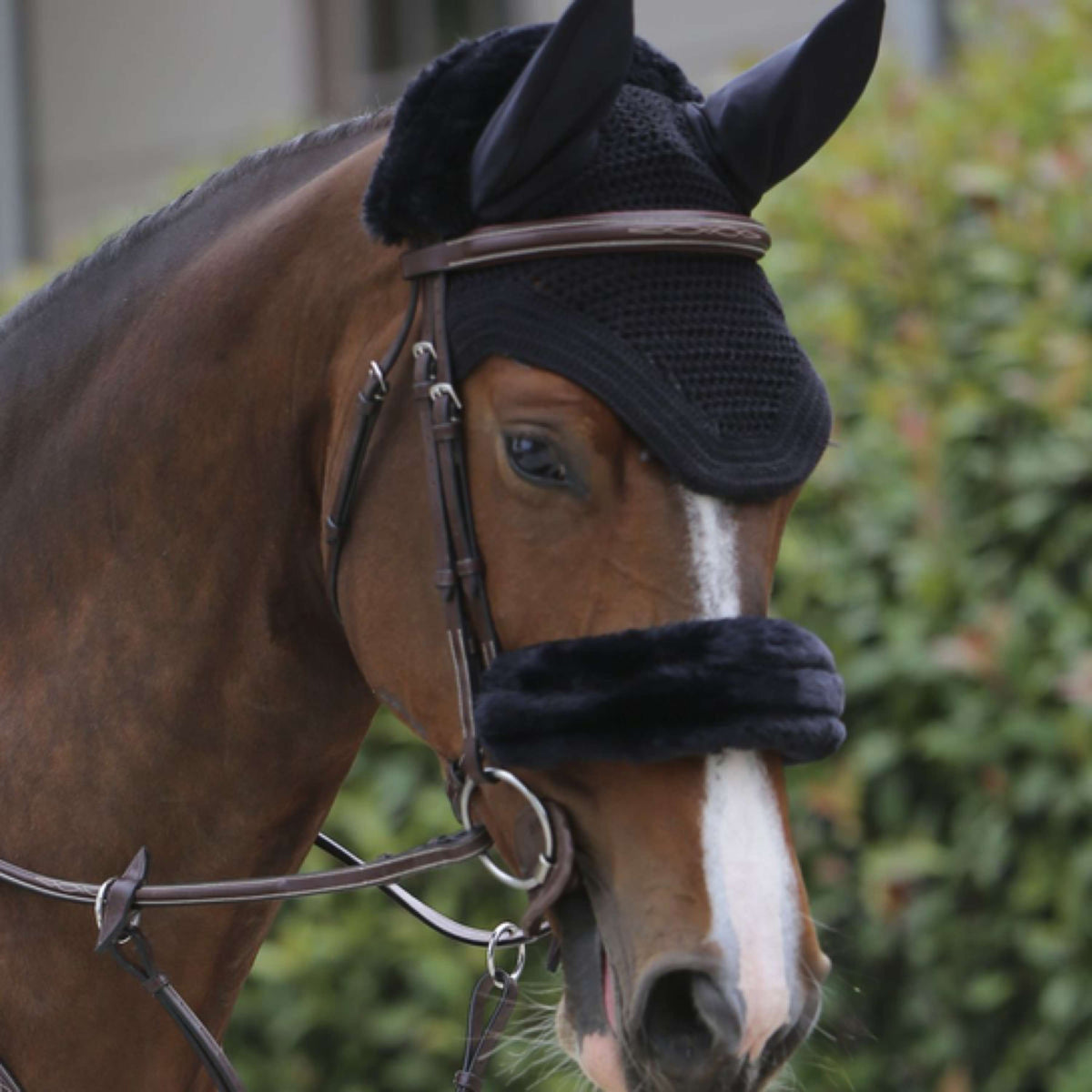 Kentucky Ear Bonnet Wellington Black