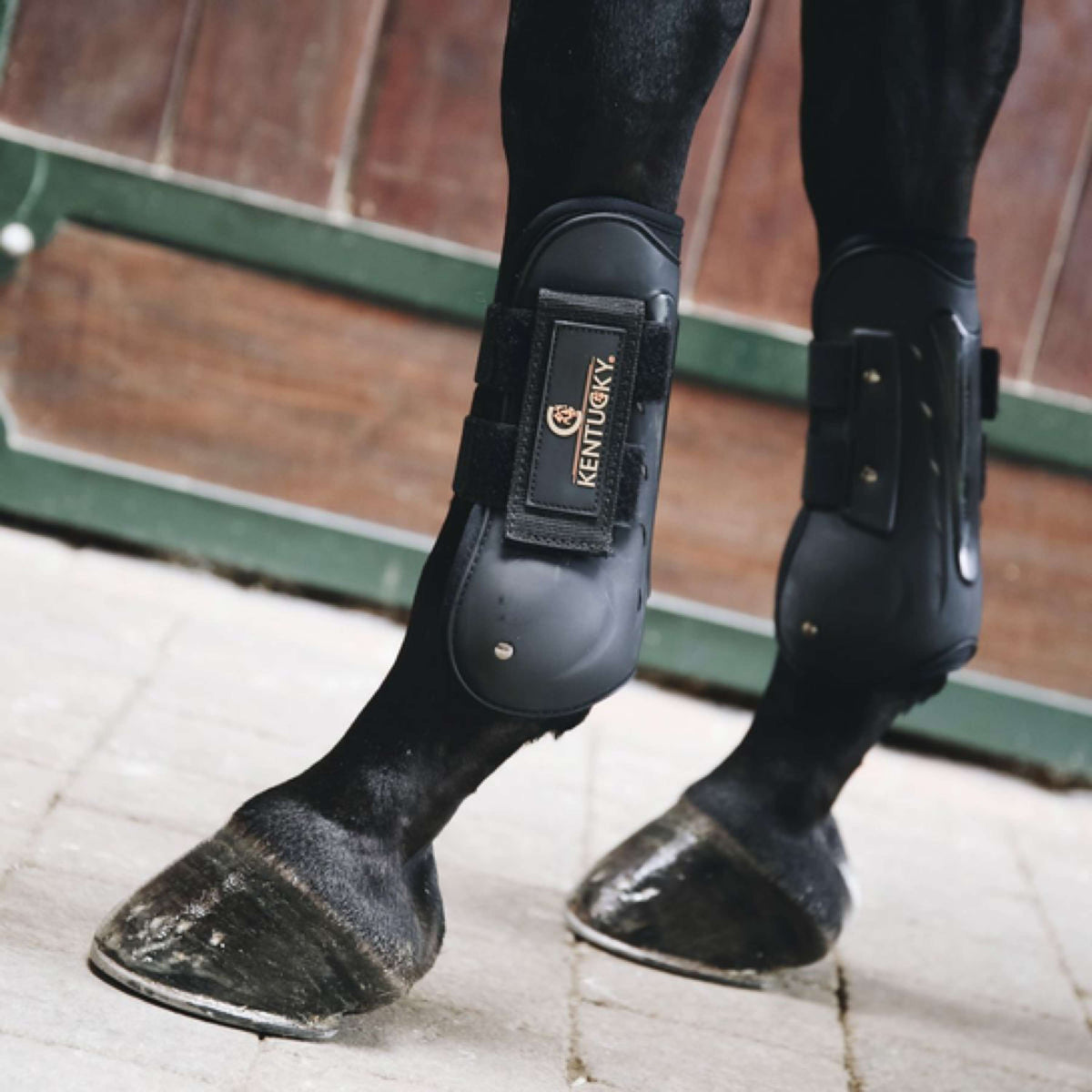 Kentucky Horsewear Tendon Boots Air Black