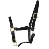 Kentucky Halter Plaited Nylon Black