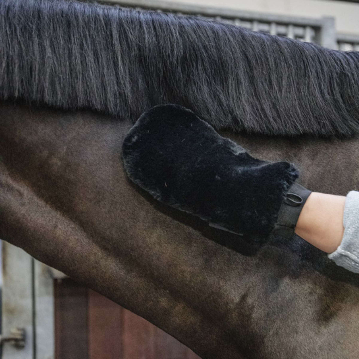 Kentucky Grooming Glove Wool Black