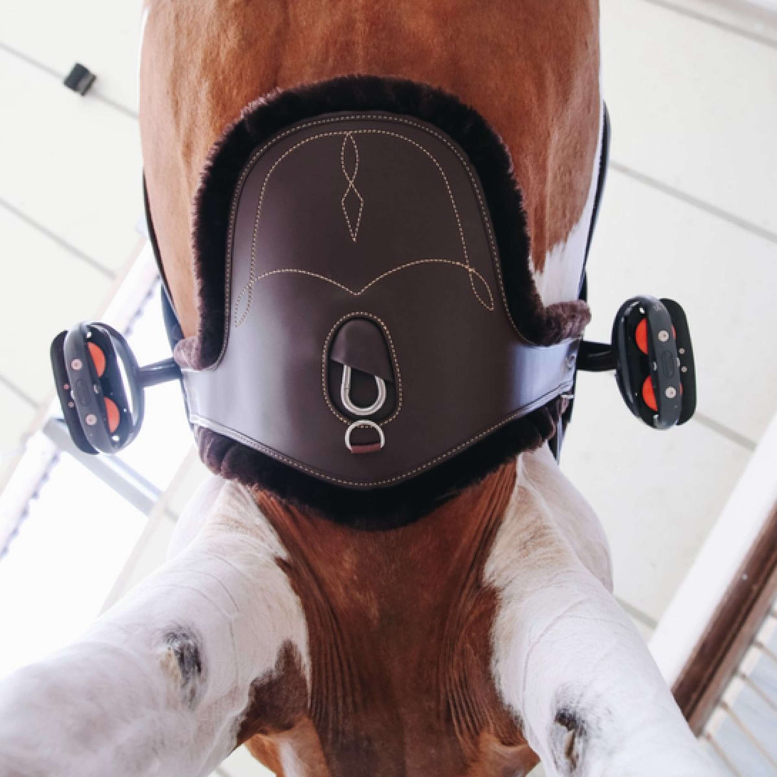 Kentucky Girdle Cover Sheepskin Stud Brown Kentucky Girdle Cover Sheepskin Stud Brown